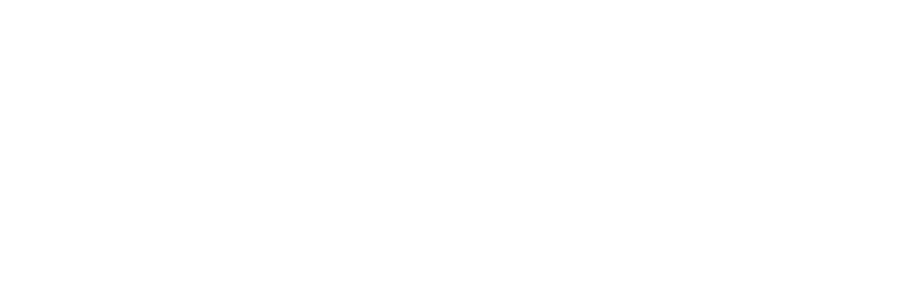 DrawWeb